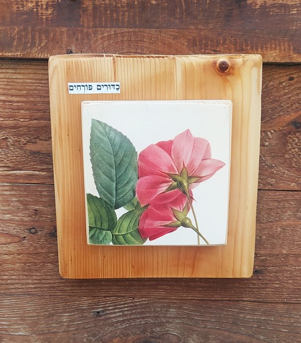 כדורים פורחים