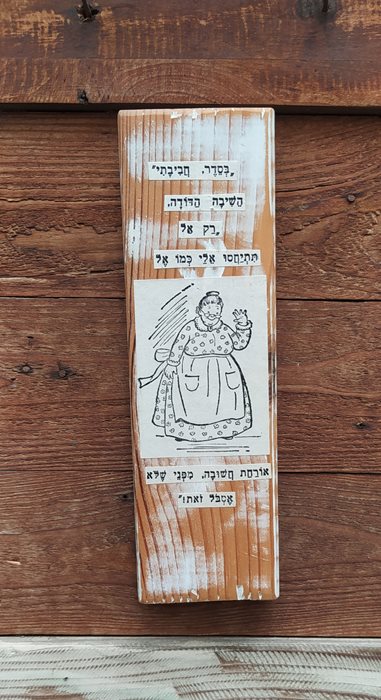 אורחת חשובה
