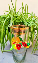 עגילי פריחה