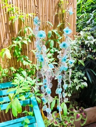 שרשרת נטיפים