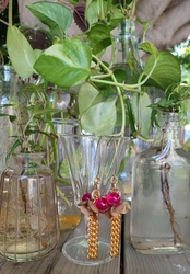 עגילי פרחי ערב