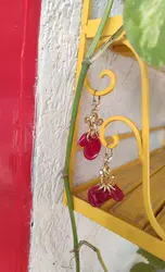 עגילי סוזנה