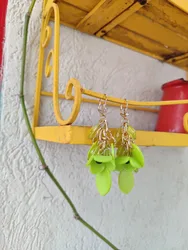 עגילי צמיחה